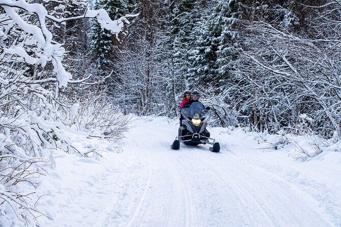 Rovaniemi: Drive New 2025 Snowmobiles on Arctic Safari & BBQ - The Best Fit: Who This Snowmobile Safari Is For