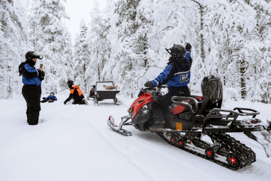 Rovaniemi: Family Snowmobile Safari with Campfire and Snacks - The forest trail: scenic stops and a guided pace you can trust