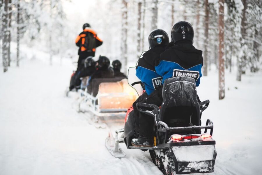 Rovaniemi: Family Snowmobile Safari with Campfire and Snacks - Campfire BBQ with warm berry juice: the warmth you’ll actually notice