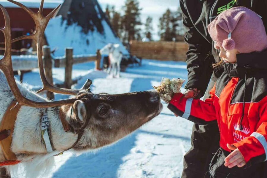 Rovaniemi: Full-Day Snow and Fun Activities - The 13:00 Lunch Break: A Real Meal, Not Just a Cookie Stop