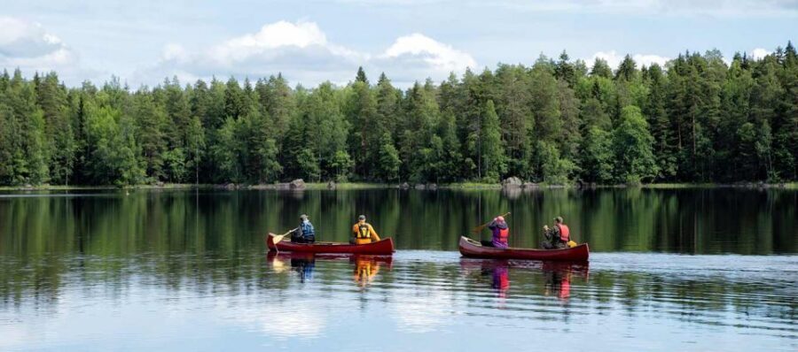 Rovaniemi: Guided Wilderness Kayaking Adventure - Getting There and Back: Pickup That Actually Saves Time