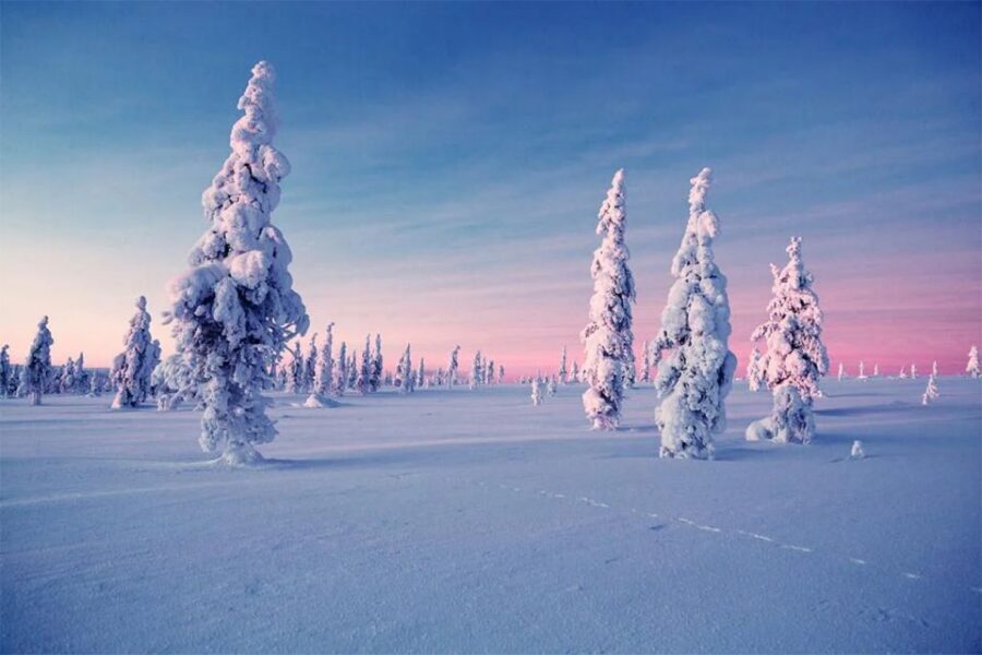 Rovaniemi: Half-Day Snowmobile & Ice Fishing Experience - Winter Clothes, Helmet, and Driver Rules (Read This Part Early)