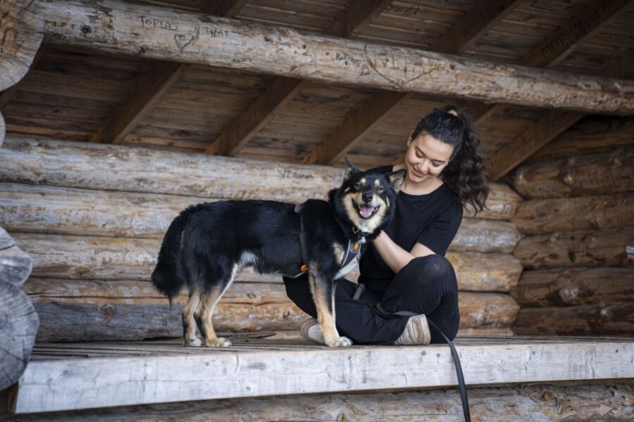 Rovaniemi: Hiking Experience with Lappish Dogs - Key highlights worth caring about
