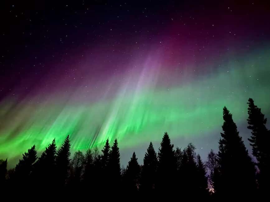 Rovaniemi Hunting Aurora at the Best Spots - Stop two: another high-chance spot and a better shot at the lights