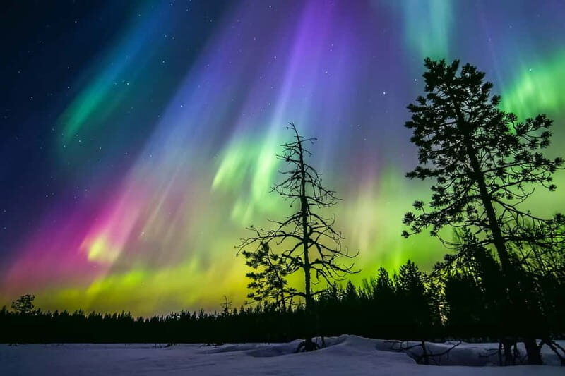 Rovaniemi: Ice Floating in Forest Lake with Aurora Borealis - Ice-Floating Basics: The Calm Start on Lapland Time