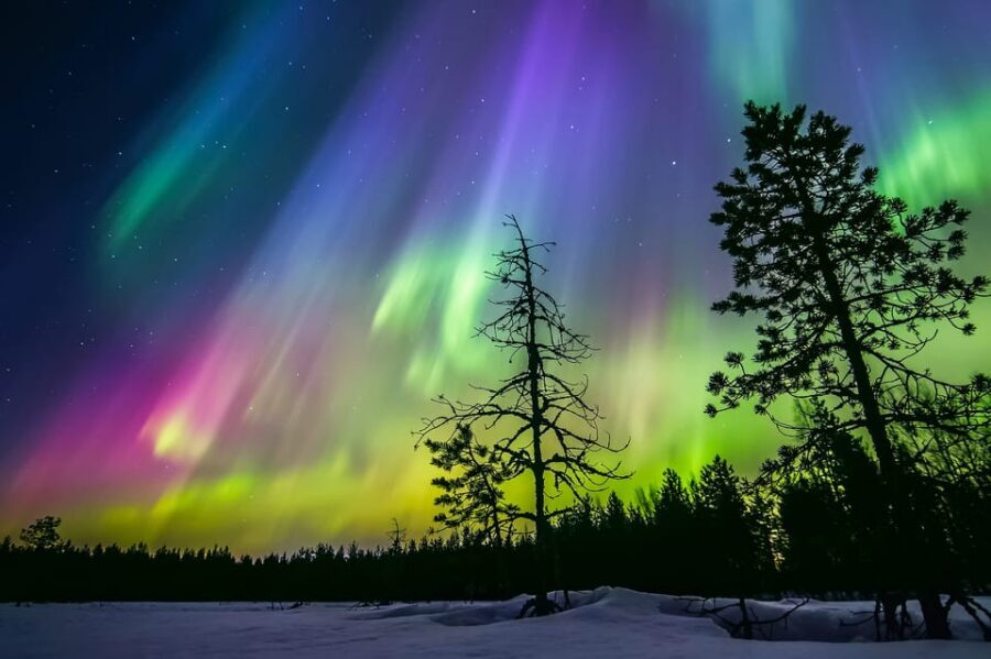 Rovaniemi: Ice Floating in Forest Lake with Aurora Borealis - What to Bring (So You Don’t Spend the Whole Time Focused on Comfort)