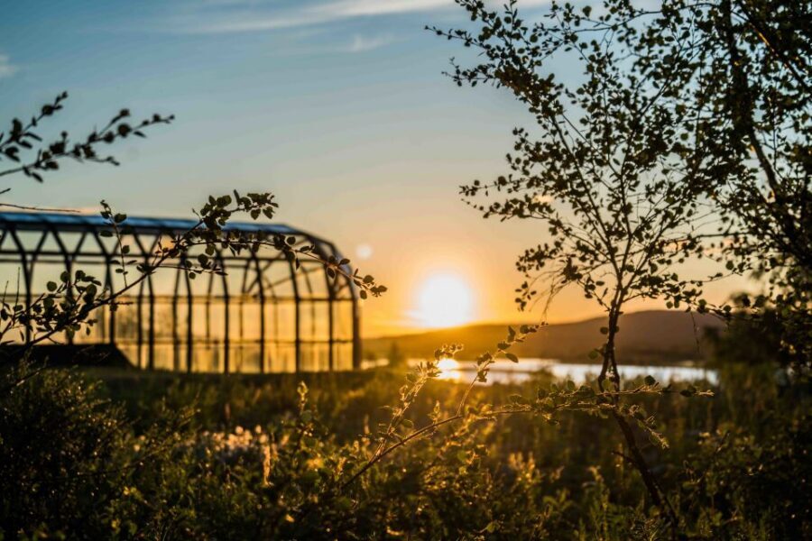 Rovaniemi: Midnight Sun Photography Tour - Price and Value for a 3.5-Hour Midnight Sun Shoot