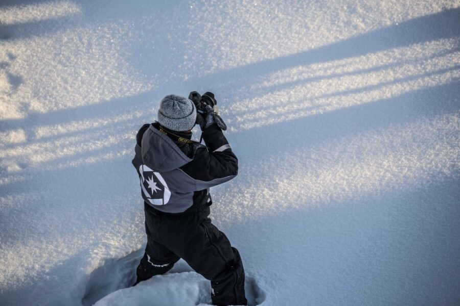 Rovaniemi: Nordic Forest Wilderness Adventure - Why a Nordic Forest Hike Makes Rovaniemi Feel Remote