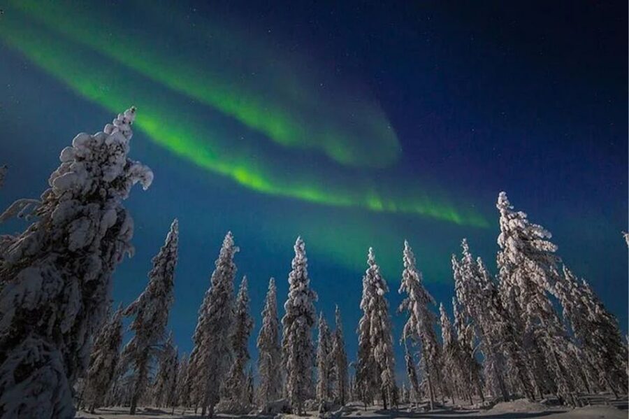 Rovaniemi: Northern Lights and Husky Sleigh Ride - Who this suits best in Rovaniemi Lapland