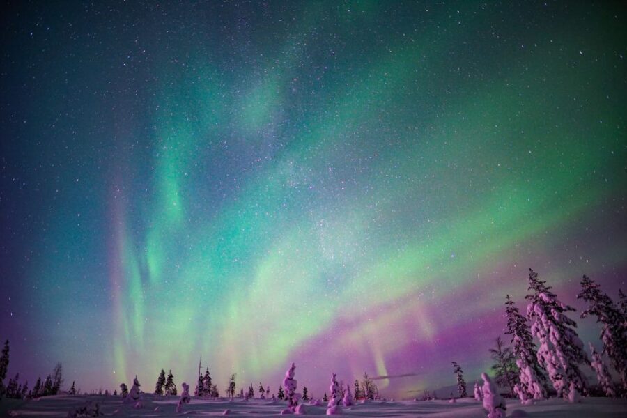 Rovaniemi: Northern Lights Snowmobile Tour - What’s Included So You Can Stay Outside Longer