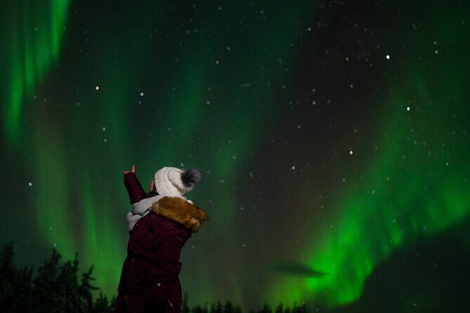 Rovaniemi: Northern Lights Tour - Heated Bus Pickup and Drop-Off: Less Fuss, More Night Sky
