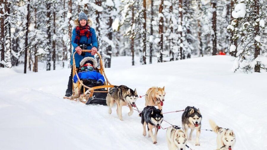 Rovaniemi: One Hour Husky Experience - Price and Value: Is ~$117 Reasonable for a 2-Hour Tour?