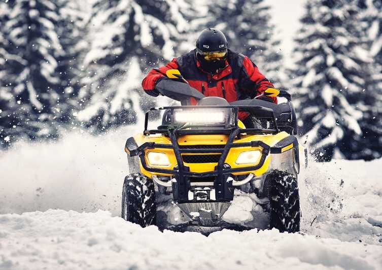 Rovaniemi: Quad Bike Ride and Ice Fishing - Key things that make this tour special