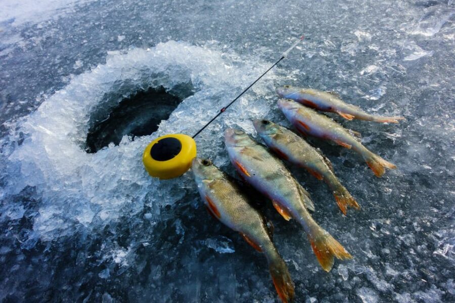 Rovaniemi: Quad Bike Ride and Ice Fishing - Practical tips to get the most out of your day