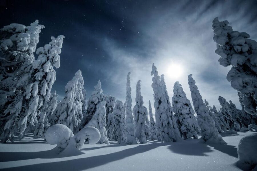 Rovaniemi: Reindeer Safari and Northern Lights Tour - Why This Rovaniemi Tour Works: Reindeer First, Auroras Second