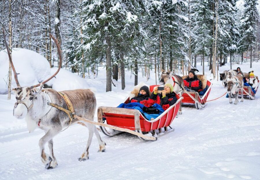 Rovaniemi: Reindeer Sleigh Ride with Hot Drink and Cookies - Price And Value: Is $294 Actually Fair?