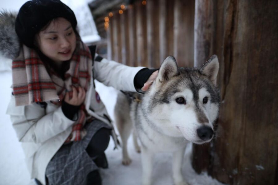 Rovaniemi: Santa Claus Village Tour Huskies & Reindeer Visit - A 4.5-hour sampler of Santa Claus Village and Arctic Animals