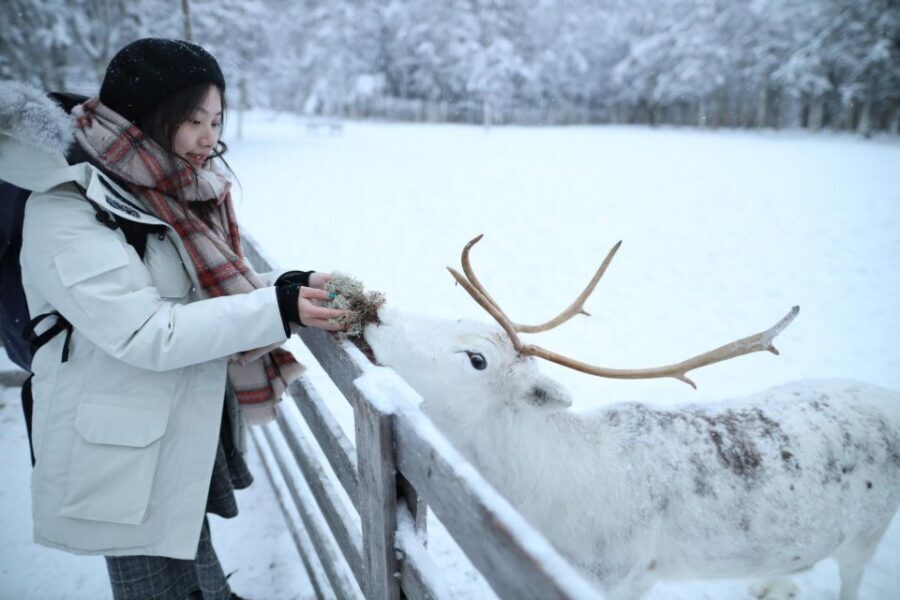 Rovaniemi: Santa Claus Village Tour Huskies & Reindeer Visit - Who this tour suits best in Lapland