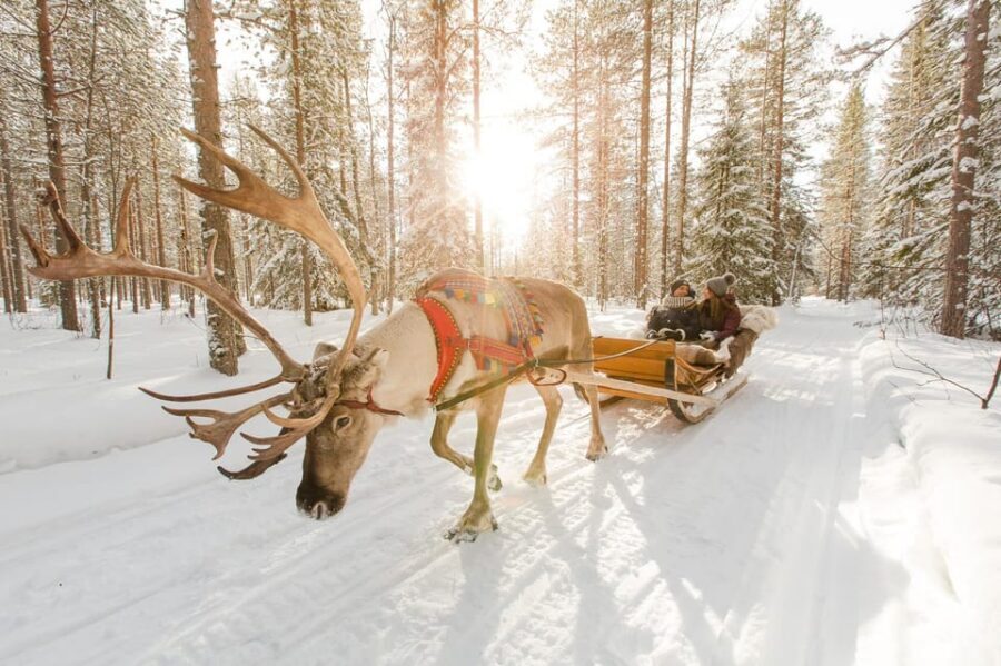 Rovaniemi: Santa's Village, Husky, & Reindeer Sled Ride - Reindeer Sleigh Ride Through the Countryside (and After-Ride Photos)
