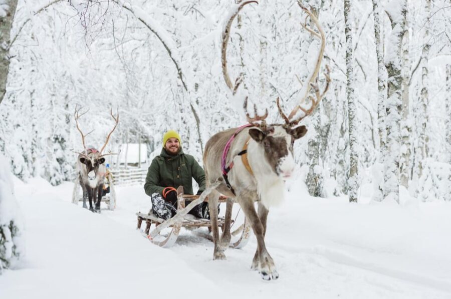 Rovaniemi: Santa's Village, Husky, & Reindeer Sled Ride - Hotel Pickup and Time Management in a 4-Hour Combo