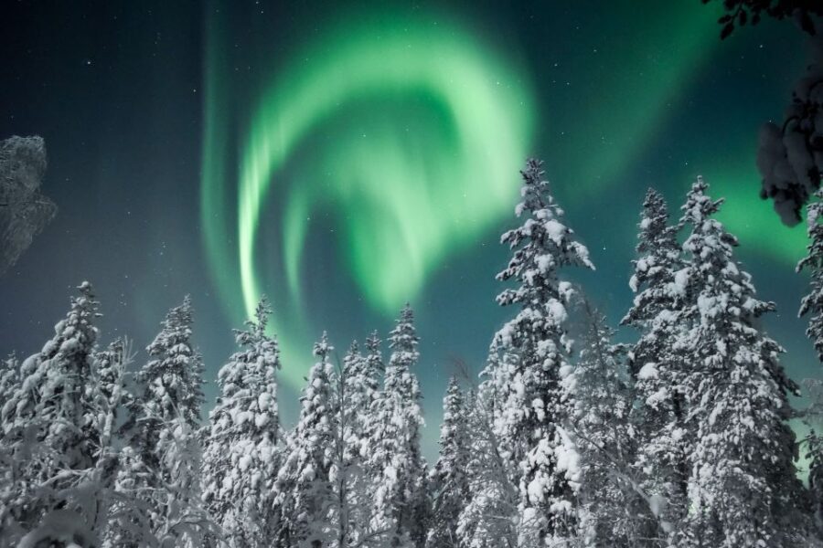 Rovaniemi: Search for Northern Lights Snowmobiling Trip - Who drives: 2 adults per snowmobile vs single rider option