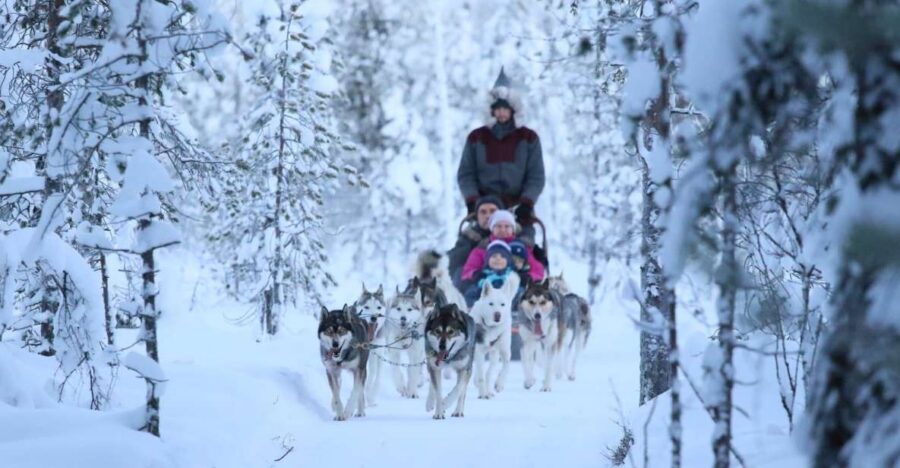 Rovaniemi: Self-Drive Husky Sleigh Ride Adventure - Self-Drive Husky Sleigh in Rovaniemi: Why it feels different
