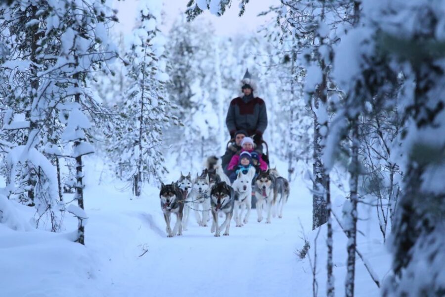 Rovaniemi: Self-Drive Husky Sleigh Ride Adventure - Practical tips for cold weather, photos, and comfort