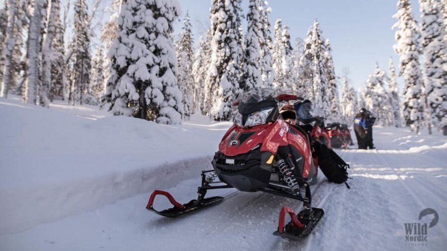 Rovaniemi: Snowmobile Safari into the Arctic Circle Forest - The Arctic forest ride: stops, scenery, and driver swaps