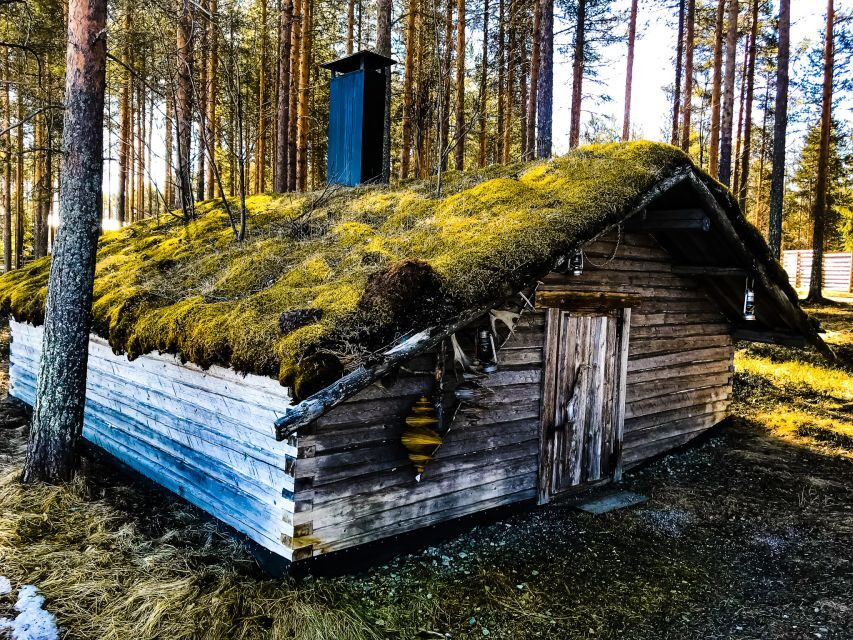 Rovaniemi: Summer Reindeer Farm Experience - Meet the Herder and Learn How Lapland Lives With Reindeer