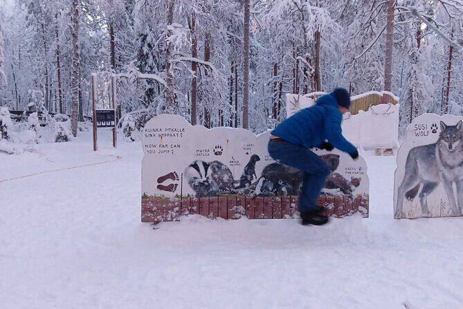 Rovaniemi: Trip to Ranua Zoo with Tickets Included - Pickup and Timing: The Real Convenience of “Included Transportation”