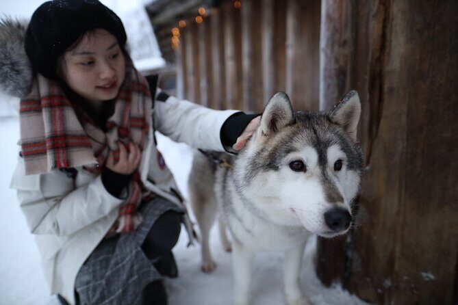 Santa Claus Village, Husky and Reindeers Combo Safari - Husky Park: Friendly Dogs, Quick Lessons, and the Ride