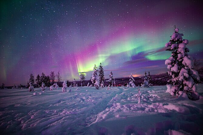 Ski Trekking under the Northern Lights - Key highlights you’ll care about