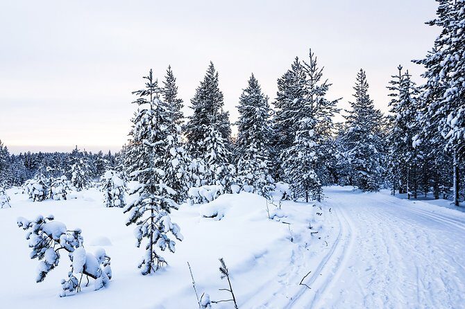 Snowmobile Safari in the Nature - Morning start - Your Safari Route: Forests, Frozen Water, and Lapland That Feels Close