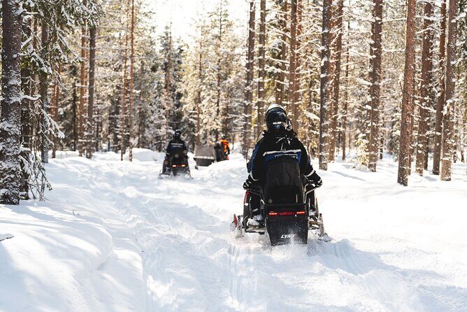 Snowmobile Safari into the Arctic Circle Forest - Safety and Driver Rules: How the Tour Keeps You in Control