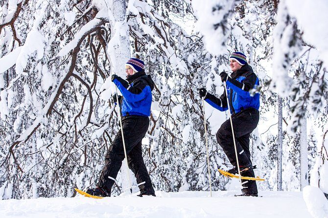 Snowshoe Trip in the Forest - Weather and timing: what good conditions change