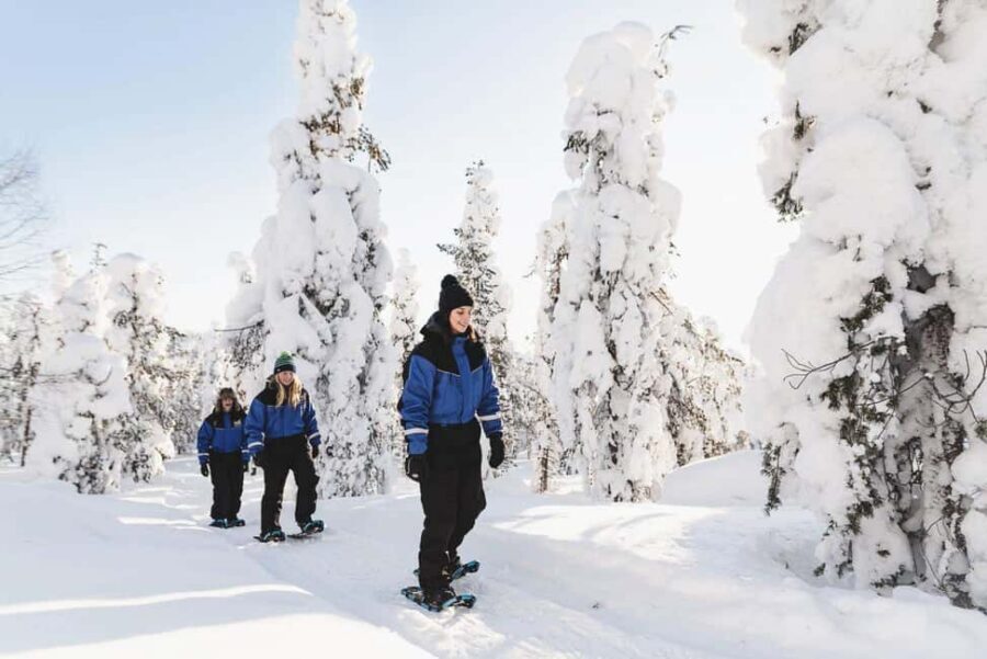 Snowshoeing in the Arctic Wilderness - Snowshoes On: What the Walking Feels Like in Lapland