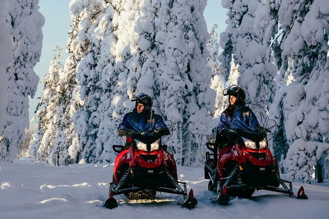 Thrill of Snowmobiling for Adults Only - Price and what you truly get for $215.05