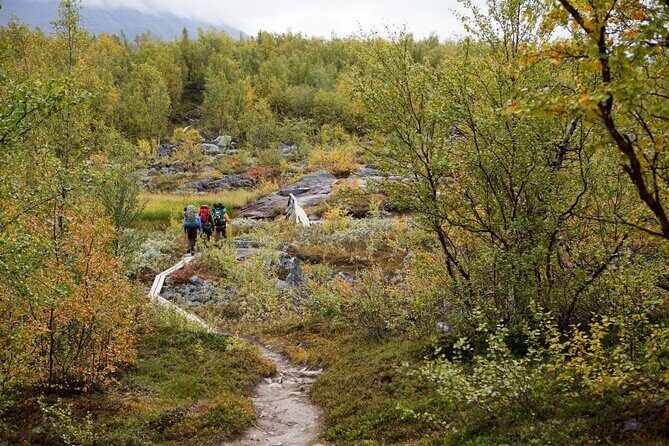 Trip to Pyhä-Luosto National Park and Amethyst Mine - Key things to know before you go