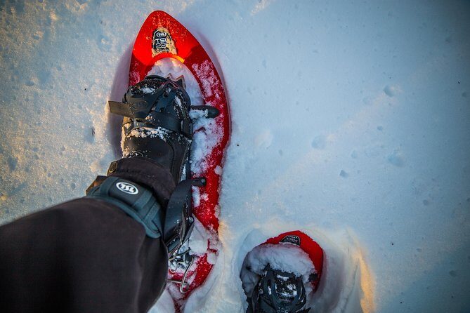 Wilderness snowshoe adventure - Walking through deep snow with a photographer guide