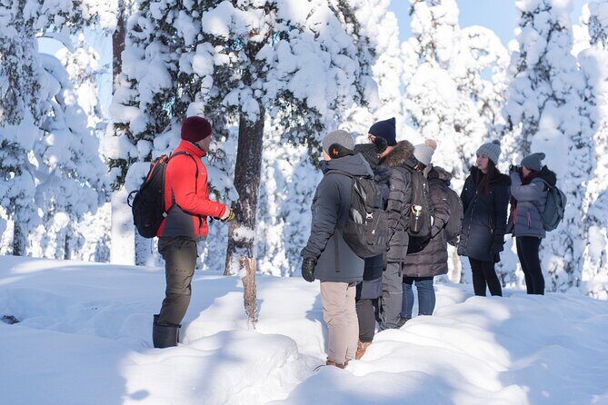 Wilderness Survival Tour - Winter - Reading Snow Like a Tracker: Animal Tracks and Signs